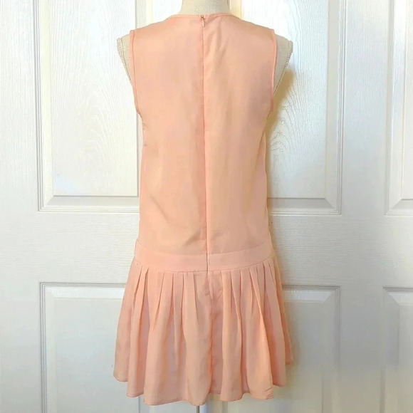 Farm Rio Anthropologie Drop Waist Horse Sleeveless Pink Dress - Picture 4 of 6